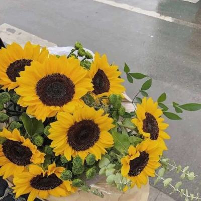 kaiyun·开云手机app下载